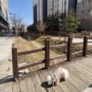 라비동물병원 이미지