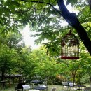 옹달샘도서관 이미지