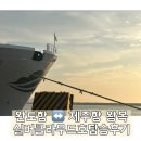 제주항 | 강아지랑 제주여행 배타고가기! (완도항 ↔️ 제주항 왕복 후기)+차량선적