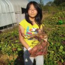 병구농장 이미지