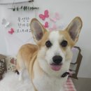 둘리미용실 이미지