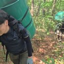 폭염 속 드럼통 매고 지리산을 오르는 그들…“함께 살아야죠” 이미지