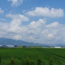 양지리 농장 이미지