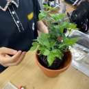 대전구봉중학교 이미지