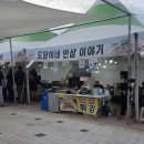 마하생태관광단지 | 반려견산책코스 추천 : 포천 Y자출렁다리 - 한탄강생태관광단지 가든페스타 내돈내산 방문후기