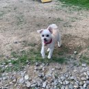 푼타하우스 이미지