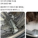 지니파트너스 | 10년 된 통돌이에서 개털과 묵은 때가 나왔다 | 홈스타 세탁조 클리너 후기
