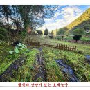 가을농장 이미지