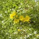 삼부농장 이미지