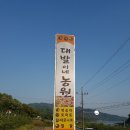 서정구농장 네이버블로그