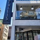 아마릴리스 | 신림역미용실에서 봄맞이 변신하고 온 아마릴리스헤어 후기