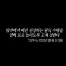 귀한과일