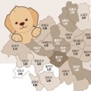 서울애견 이미지