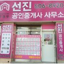 선진공인중개사사무소 이미지