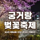 옥현중학교 | [울산 가볼만한 곳] 무거천 벚꽃축제 | 궁거랑 벚꽃축제 | 실시간 개화상황 | 주차 | 카페추천 | 먹거리...