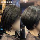 동서울대 정문 | 복정동미용실 동서울대 앞 우리동네머리손질가게 복구매직 후기
