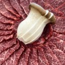 사천한우마을 이미지