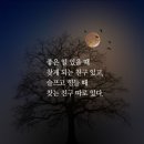 아침 인사 글귀 이미지