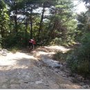 창녕공설운동장 이미지