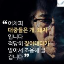 꿀멍꿀멍 이미지