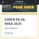 영천야구장 | 캠프공존 영천 대구근교 오토캠핑장 다녀온 후기/배치도 추천 스팟 포함 (A,B,C존)
