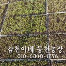 동처농장 이미지