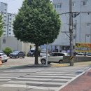 백만석(본점)(멍게비빔밥) 이미지