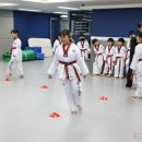 상록태권도장 이미지