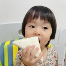 홍루이젠수원 이미지