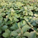 창이대로 이미지