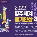 대경인삼 네이버블로그