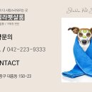 넘버원 펫살롱 이미지