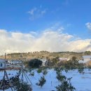 미니메리 | [제주도 서귀포] 조식있는 감성숙소 2인숙소 미니메리 메리룸 후기