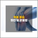세화헬스케어(주) | 더밸런스짐 조 팀장 칼럼 제기동 헬스 무릎 아플 때 원인과 운동법