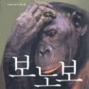 보노보 이미지