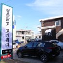 청춘판다