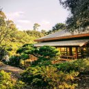 척추가 중심 이미지