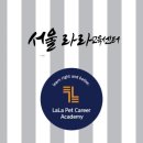 펫푸드교실 이미지