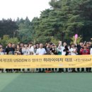 히라이 이미지