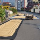 칠원시장 이미지