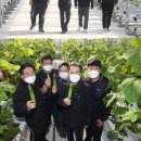 오이씨농장1 이미지