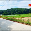 분지농장 이미지