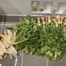 미완성농장 이미지