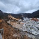 대왕곰목장 이미지