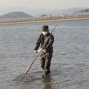 다둥이네 섬진강 재첩국 티스토리