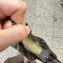 협신유통