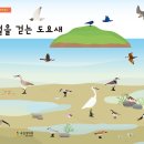 에코페이퍼