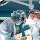 한일동물병원 이미지