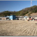 대흥초등학교 이미지