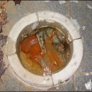 천연약수터 이미지